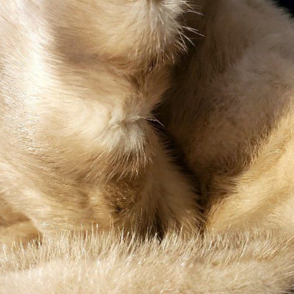 Beautiful Tourmaline Mink Fur Coat, vintage & glorious - Picture 5 of 5